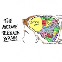 The average teenager brain Conoscersi e confrontarsi