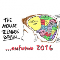 The-average-teenager-brain_autumn2016 Conoscersi e confrontarsi – Autunno 2016