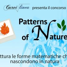 patternsofnature PATTERNS OF NATURE: un concorso tra matematica e natura (entro il 31/10/2017)