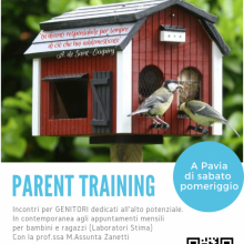 Parent Training 2 - locandina