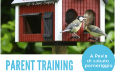 Parent Training 2 - locandina