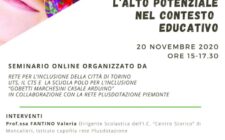 2020.11.20 webinar Torino