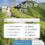 convegno ADOL 2025 save the date